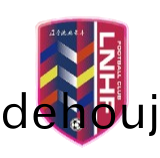 遼寧(ning)沈(shen)北禾豐(feng)女(nv)足(zu)