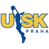 USK佈(bu)拉(la)格女(nv)籃